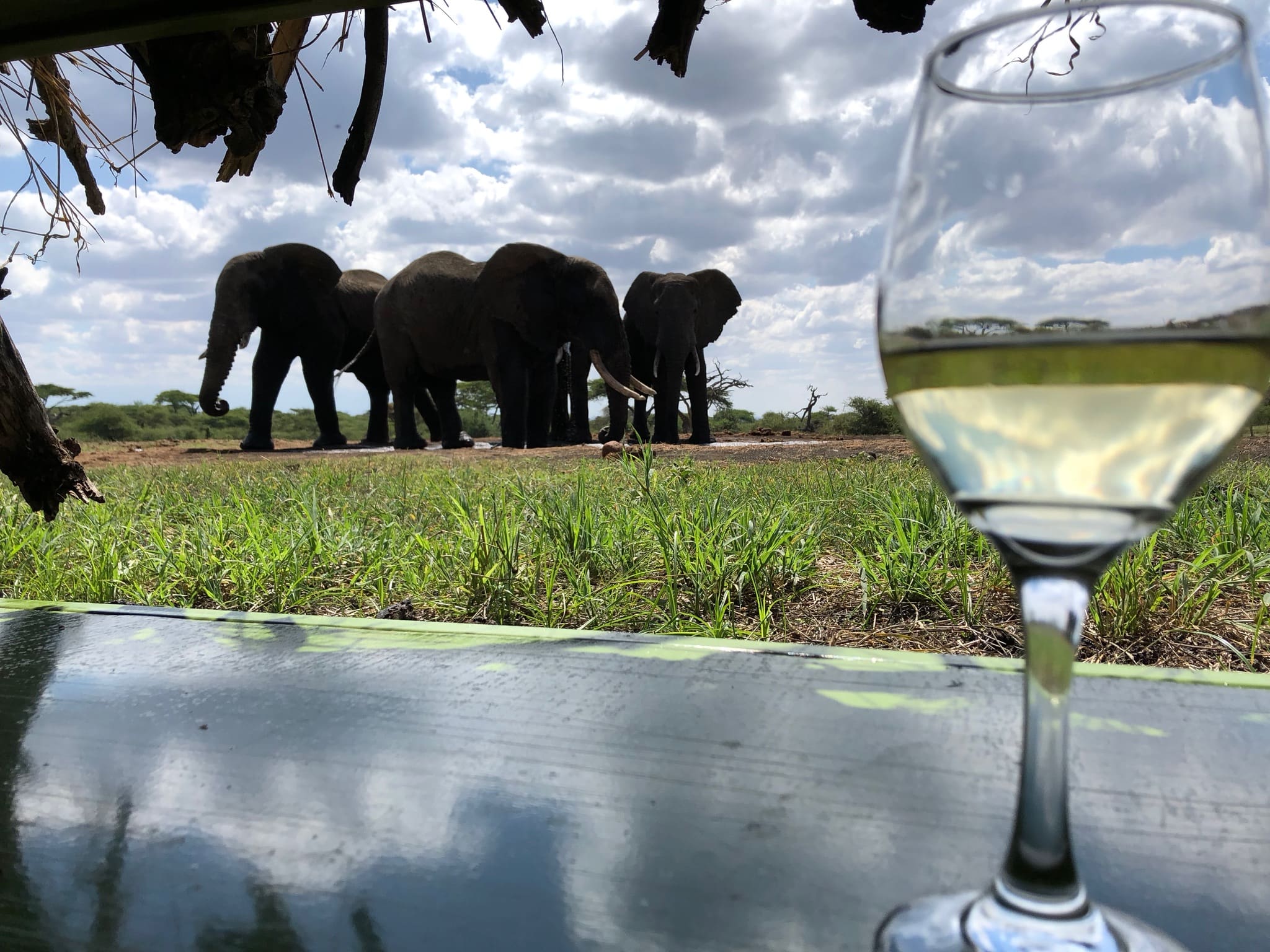 Elephant hide at ol Donyo Lodge in Kenya on Safari in the Maasai Mara